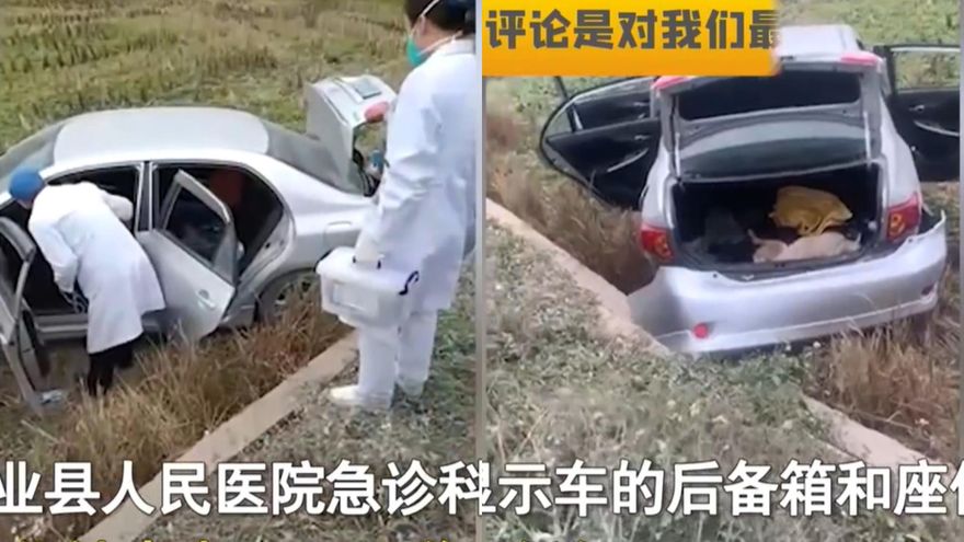 失控墜路基...車廂一打開「全是狗屍」　2男闖村毒殺狗逃逸出車禍致1死1傷