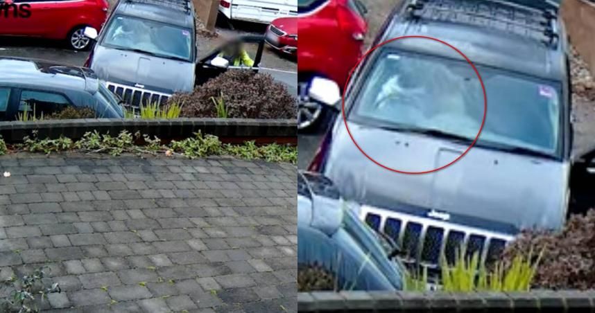 英國離奇車禍！吉普車莫名撞擊路邊車輛　天兵駕駛竟是一隻狗