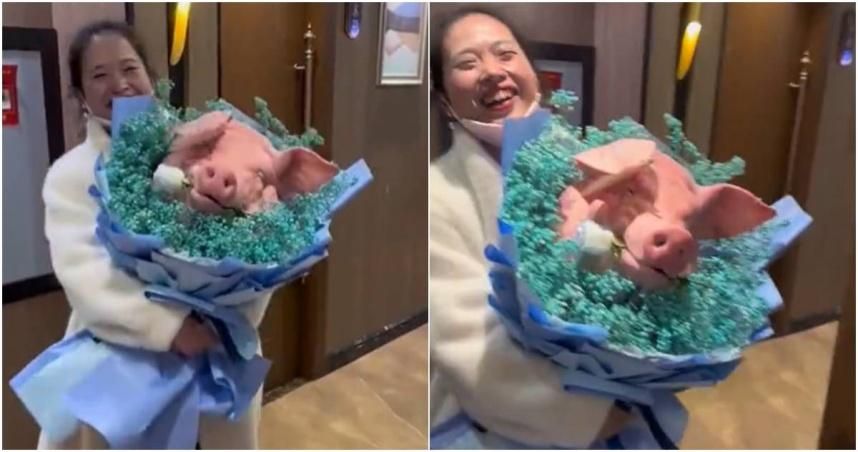【影】生日收到閨密送「整顆謎笑豬頭」！妹子驚呆指觸豬鼻…係金ㄟ