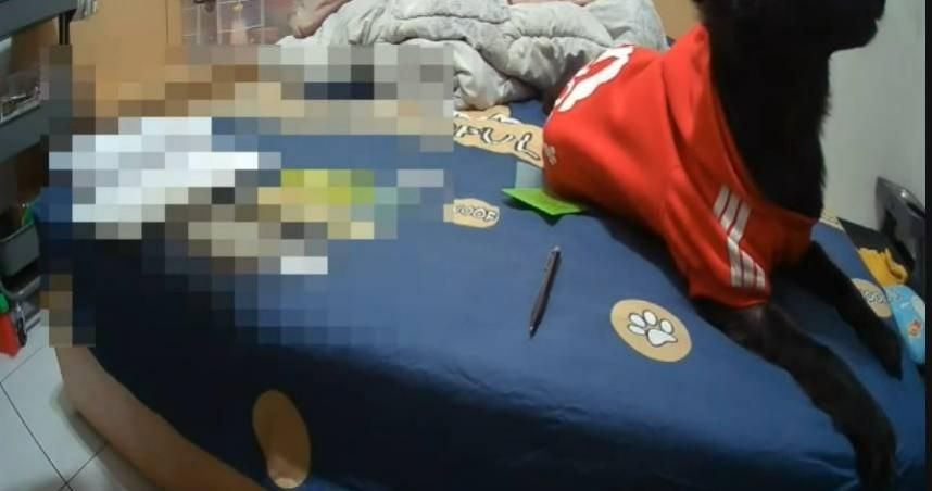 缺錢男大生慘淪詐騙集團車手被逮！　心酸向愛犬告別：等爸爸回來