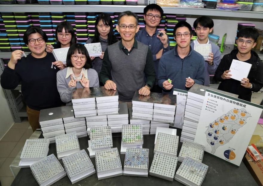 白蟻品種揭密！興大教授：台灣南北大不同　邀民眾「抓蟲」採樣本