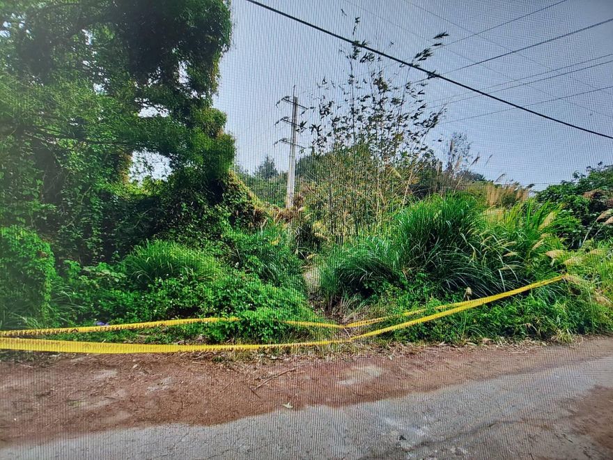 竹北詐團黑吃黑「吞60萬」遭虐殺埋屍　3煞二審仍判無期