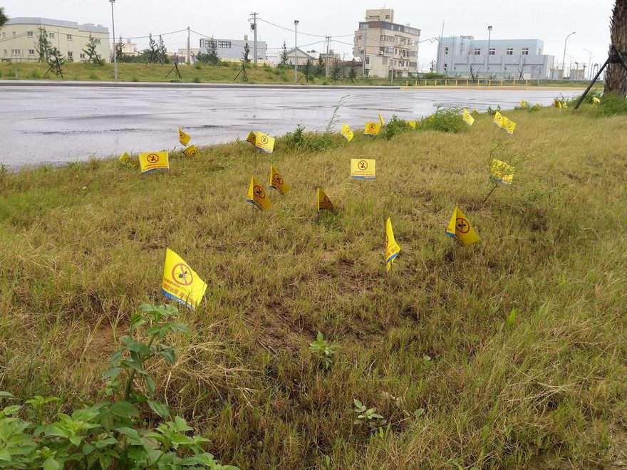 新竹又驚爆大秘寶！教練2原因不敢用 網瞬間暴動飆罵民進黨