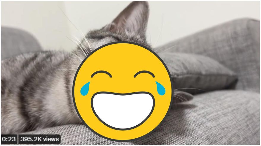影/米克斯靈魂出竅「白眼＋吐舌」飼主調戲舌頭無果嚇到！下秒…喵：偶只是睡著啦
