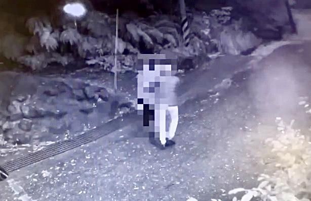 想追別人女友打架還打輸　22歲男撂人圍毆情敵山區丟包