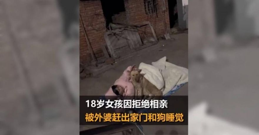 18歲少女拒相親「遭趕出家門」　零下低溫「戶外躺地抱狗睡2天」