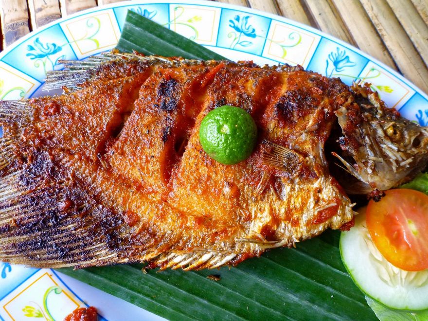魚刺卡喉「大口吞飯、催吐」恐更嚴重　就診取出最安全