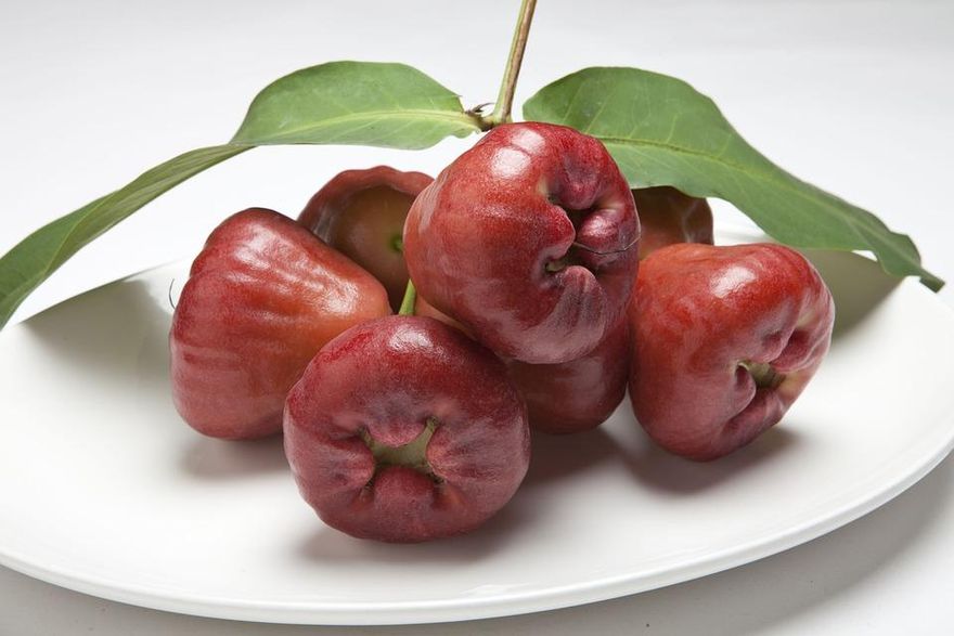 春天來了！營養師推薦8春季蔬果：一張圖看熱量、營養素、功效
