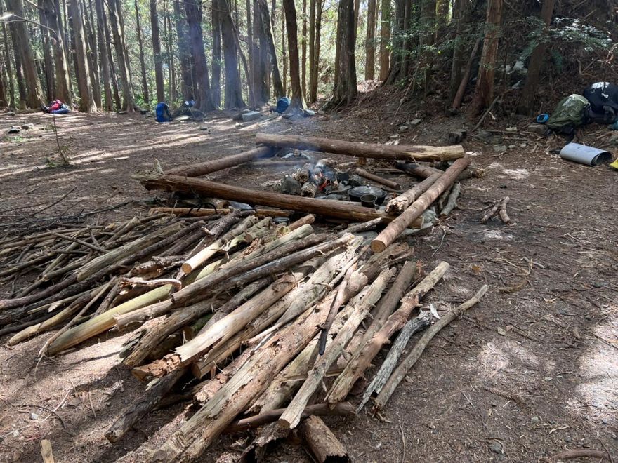 恐吃牢飯！八仙山造林地辦營火晚會　21人遭查送辦「最重罰600萬」