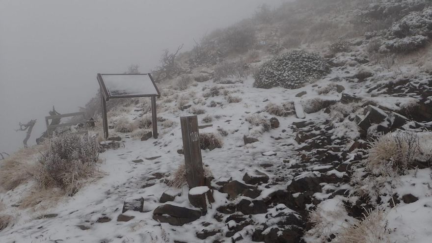 影/雪山今飄雪了！積雪2至5公分　銀白世界超壯觀