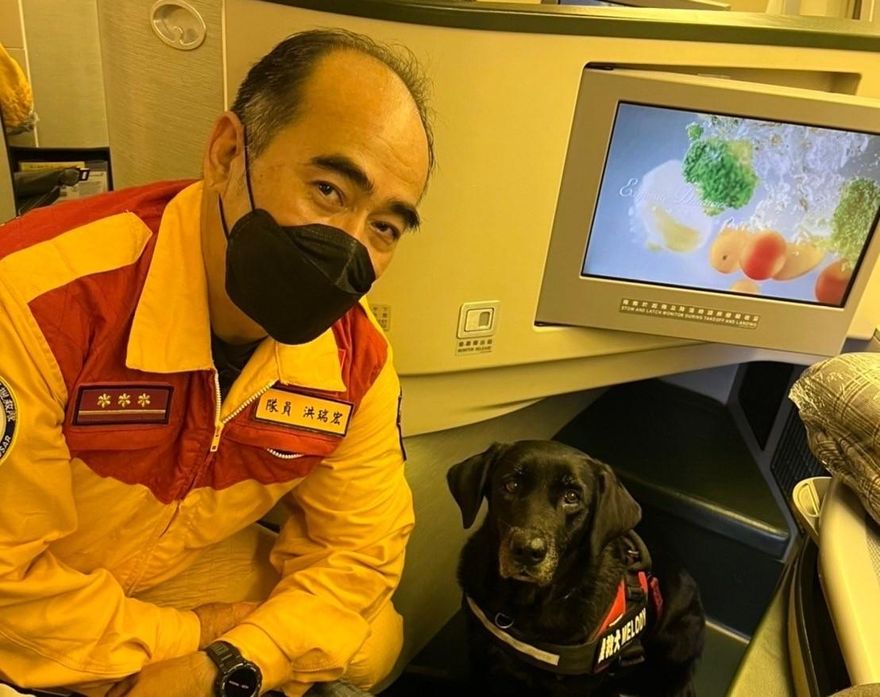 搜救犬前進土耳其！「Melody」「腿腿」扛重任　統一搭乘商務艙