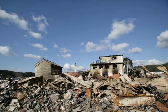 地震前23天「牠們」就有感！醫揭地震爆發前的「1現象」真相