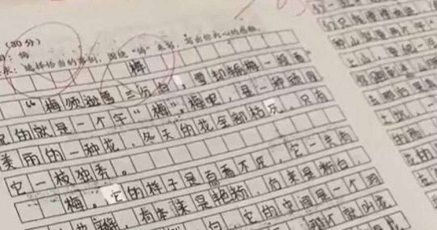 影/好可惜！小六學童「悔」「梅」不分　詞藻華麗30分作文扣到僅剩5分