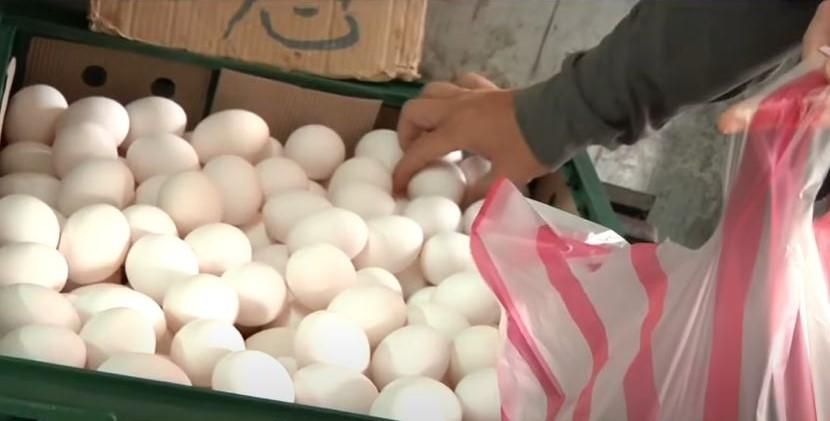 缺蛋危機！每日產量再掉20萬顆　農委會竟稱：不會像去年缺