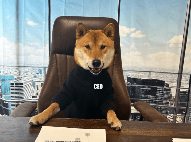 見過推特新「總柴」！馬斯克拱愛犬當CEO　笑稱「牠比其他傢伙好多了」