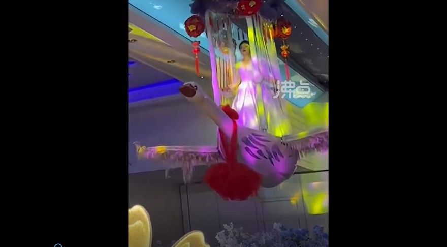 影/我的老天鵝！新娘婚禮上乘「巨鵝」登場　網友驚：觀音菩薩快收了神通吧