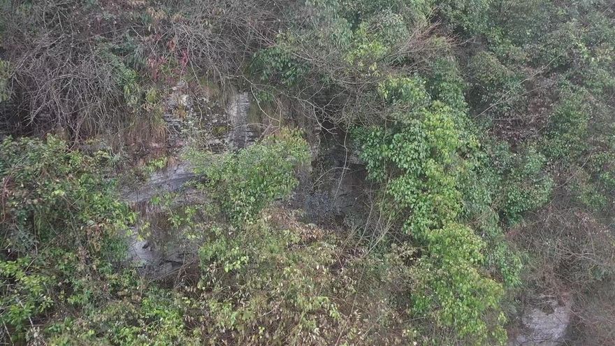 結夥搶加油站僅得手690元…陸男躲山洞14年到案成「野人」