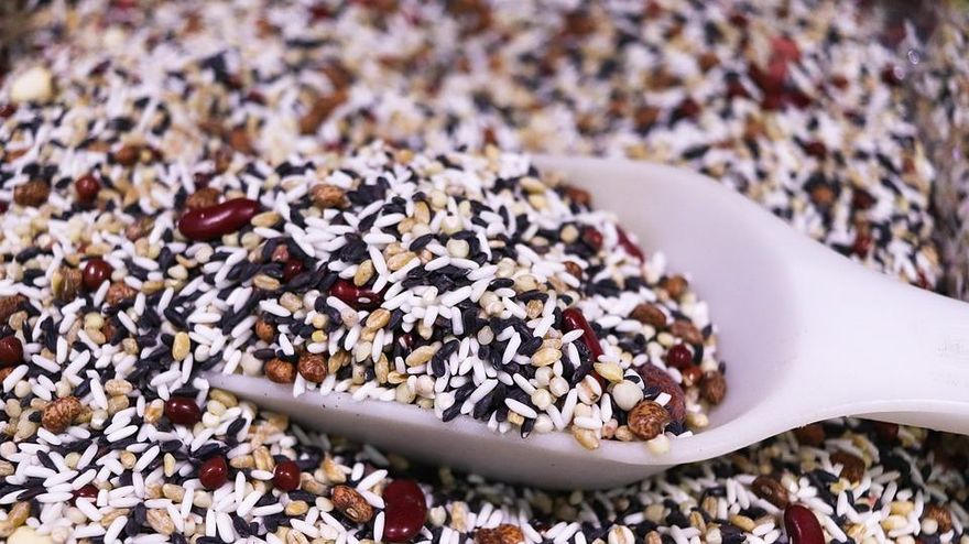 糙米、白米營養大公開！糙米膳食纖維高白米「5倍」　還能降低罹癌機率