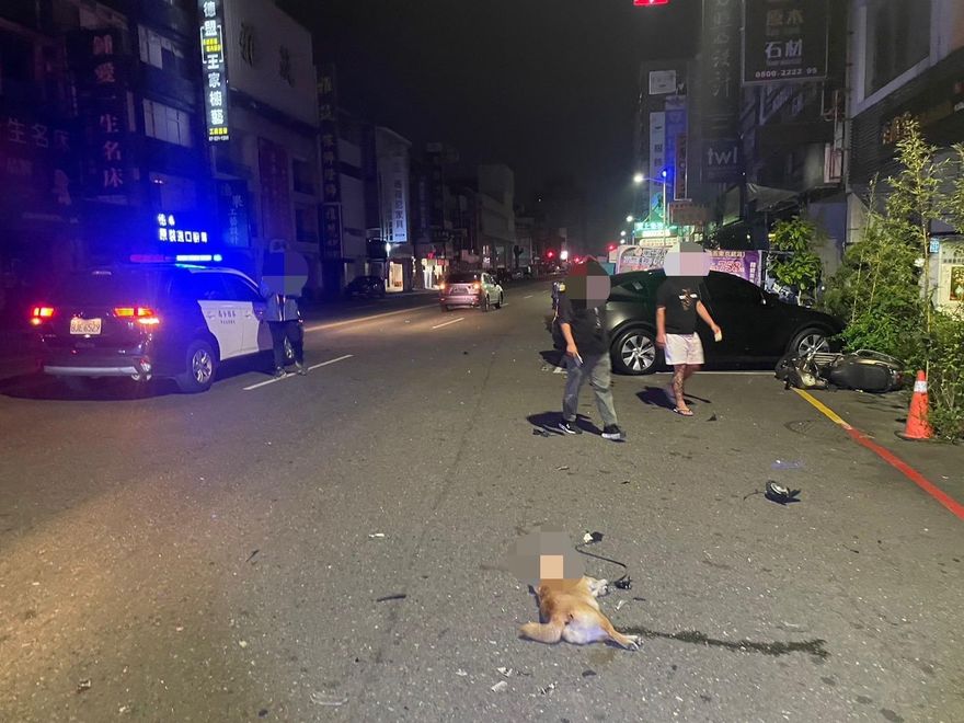 影/愛犬兜風被撞死！高雄女半夜騎車慘摔　男開車搶快肇禍