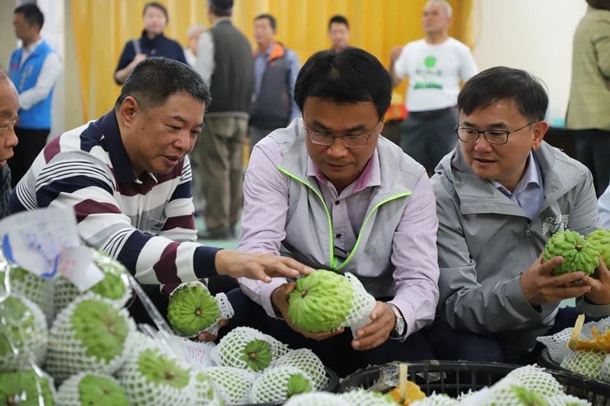台東鳳梨釋迦恢復輸陸！陳吉仲稱「自貶國格」　網友怒：主委對得起農民？