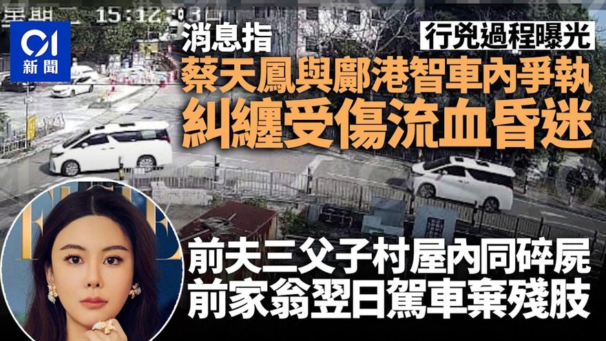 香港名媛分屍案/行兇過程曝光！蔡天鳳與前夫爭執　車內爆血昏迷　翌日慘遭碎屍烹煮