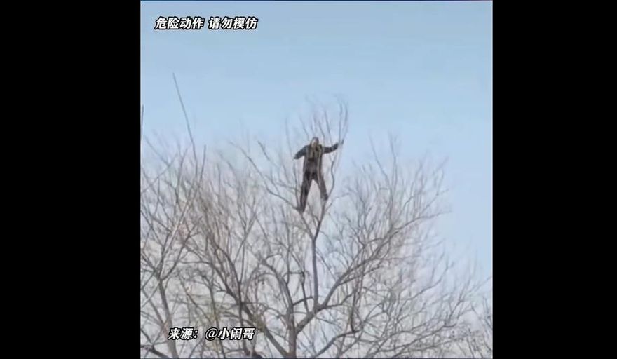 影/徒手爬樹梢「健身」！77歲翁高難度動作曝光　網驚：你這樣我可就不讓座了
