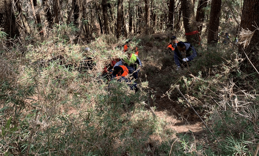影/登山接駁車翻覆山谷！　8人送醫、司機死亡