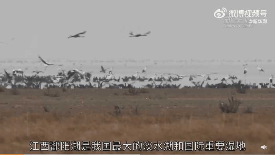 大陸最大淡水湖鄱陽湖現枯水危機　鄰省雲南工廠限電難捱