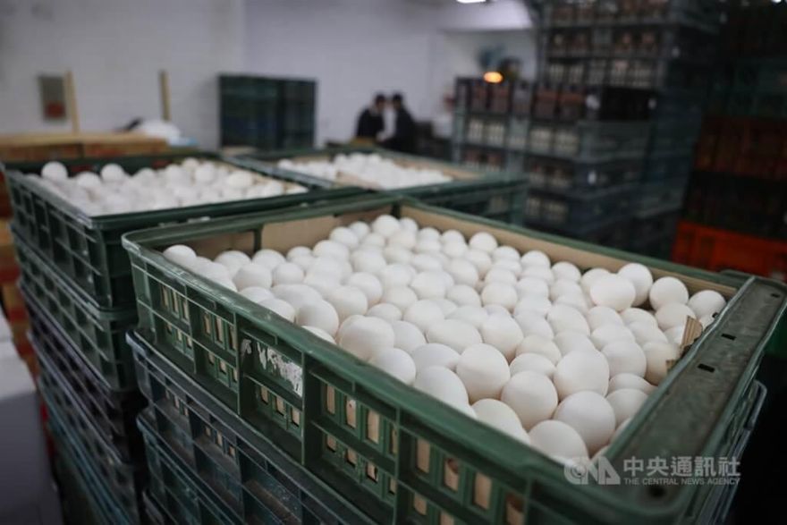 買不到雞蛋又狂漲！主計總處：已連續16個月雙位數上漲