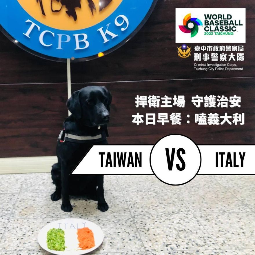 WBC棒球經典賽/中華隊戰義大利！警犬「海嗑披薩」吃超乾淨…用嘴巴挺國球