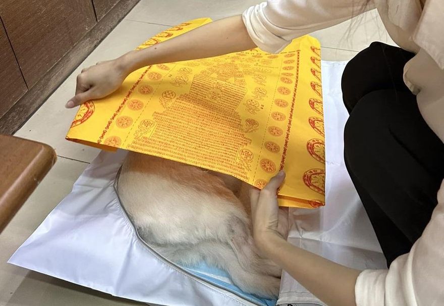 寵物殯葬合法化難處多　用地問題待解