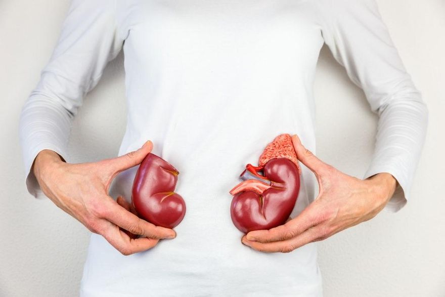 他右側腰痛、出現血尿！竟是腎結石合併腎積水　靠「碎石手術」恢復健康