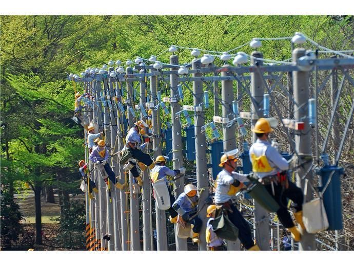 同棟不同運！民眾住透天大樓竟收到「0元電費單」