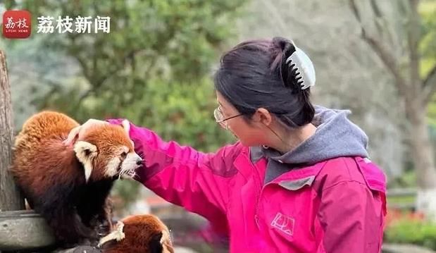 影/開心比薪水更重要！設計師裸辭不幹　轉行從事動物飼養員