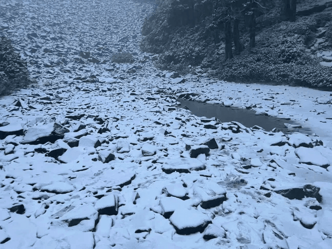 雪山也飄「3月雪」！厚度5公分步道都結冰、山友超驚喜