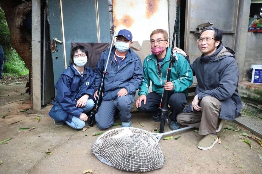 影/狒死各說各話！獵人指受竹縣府指派　農業處兩度否認