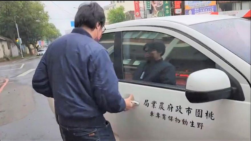 影/狒死事件複訊！農業局、六福村6人進楊梅分局　面對媒體追問給了「這說法」