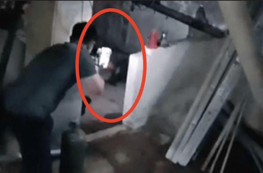 狒狒成槍下亡魂！直擊圍捕現場　農業局補麻醉槍畫面曝光