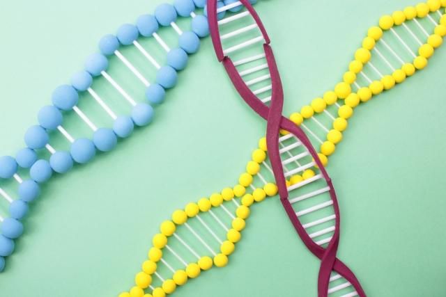 預測未來會得什麼病？北榮破解「基因密碼」精準處理　預防疾病發生