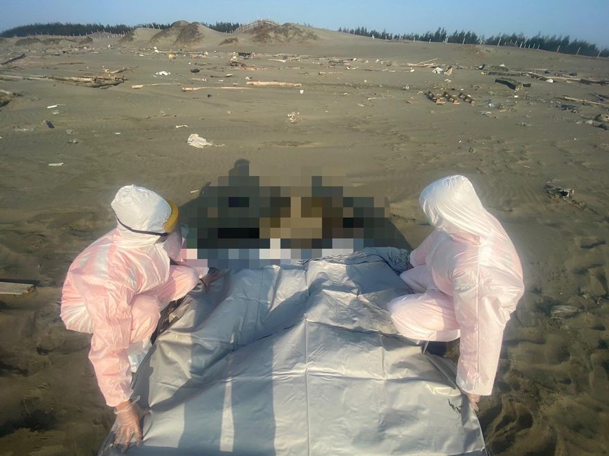 影/台沿海驚見16具浮屍！疑遭人蛇丟包…高大成曝3大關鍵：看體內海藻