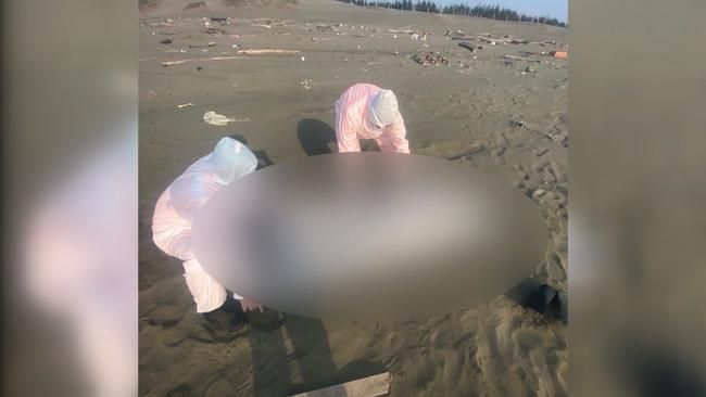 台灣沿海20具浮屍驚見台商名片　警方連繫家屬曝偷渡來台原因
