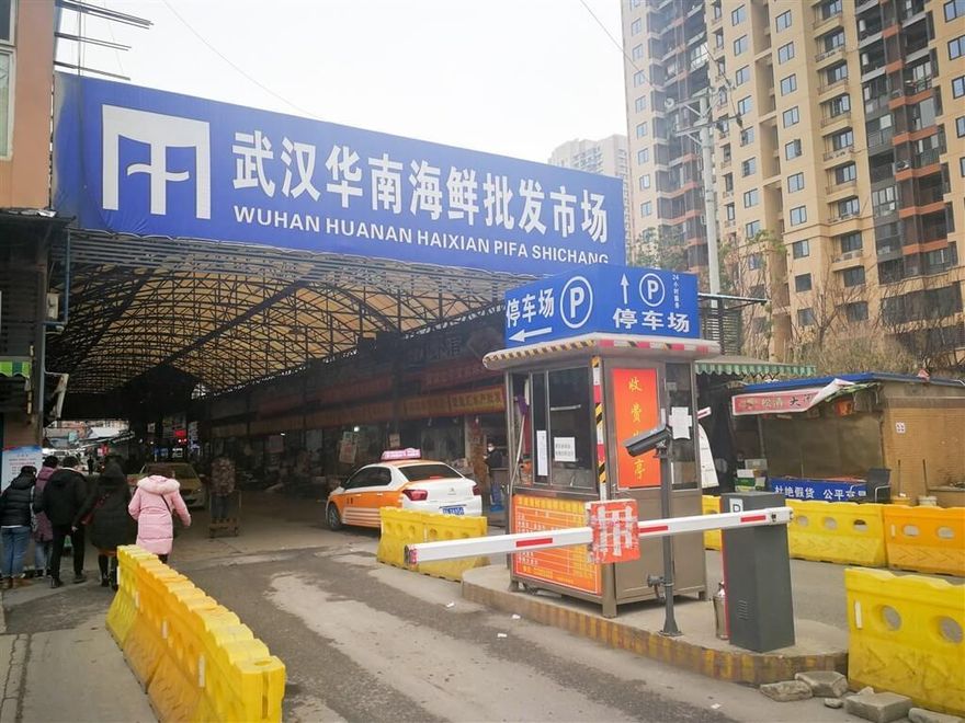大陸專家：武漢華南市場病毒應該是源自人類