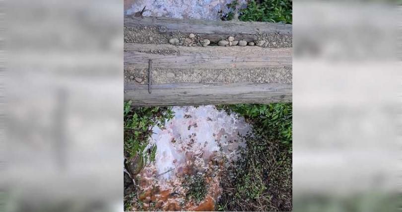 阿里山秘境「屎水堆積」遍地小白花！始作俑者是「它」…山友怒噴：比夜市還髒亂