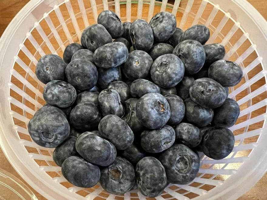 又暴動了！好市多網站驚見本土藍莓　「比5元硬幣大」搶到缺貨