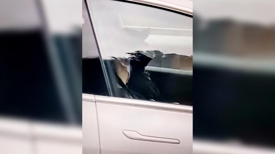 影/特斯拉「自駕」奔馳國道！正副駕駛爽睡　網捏冷汗：7天後見