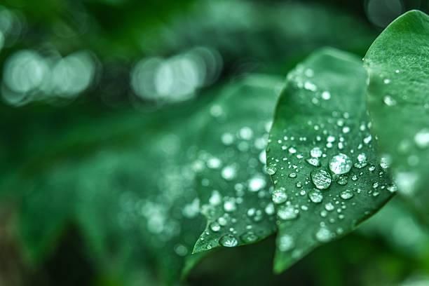 「穀雨」在下周！抽屜放1物除小人　專家曝開運妙招
