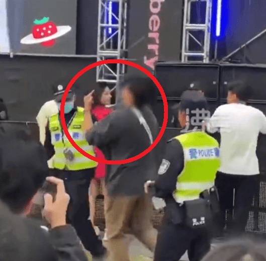 影/嗑藥了？成都音樂節現怪男　搖頭晃腦對警察比中指慘遭制服