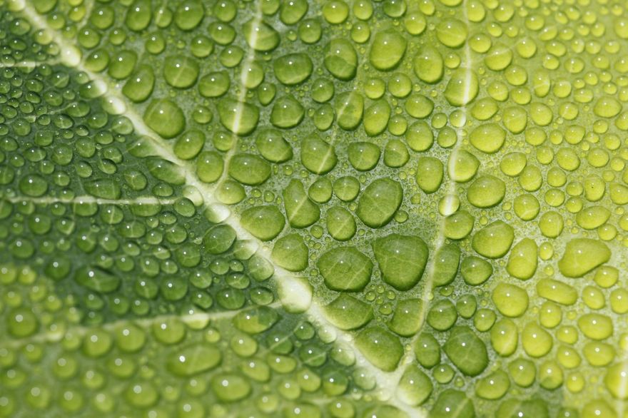 這4生肖「做1事」可時來運轉…迎下周新節氣！專家：轉運趁現在
