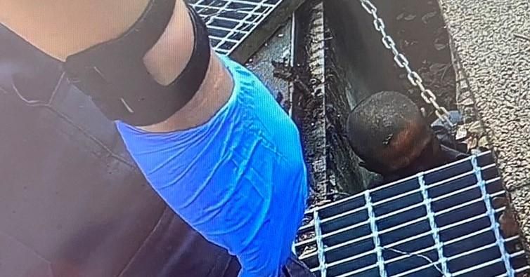 快訊/驚悚版忍者龜！三重怪男竟躲學校水溝嚇壞學童　警消合力強制送醫