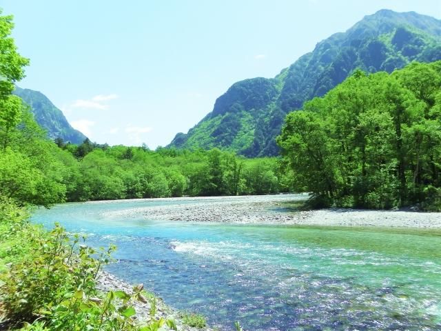 大自然有神力！ 研究證實接觸綠地、聽鳥鳴對健康有益